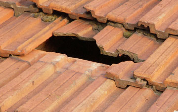 roof repair Thurgarton