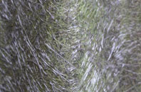 Thurgarton fibreglass roof work