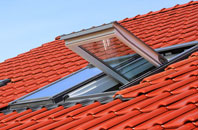 Thurgarton roof window